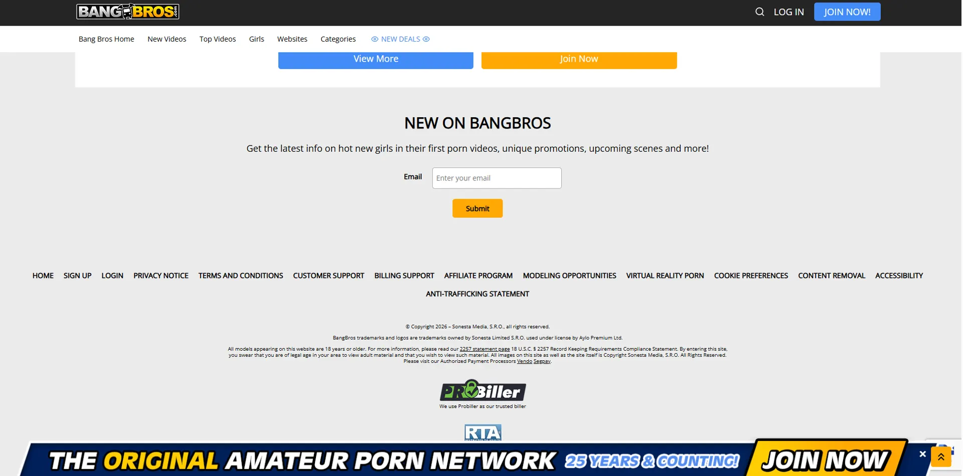What Is BangBros, and What Should You Protect?